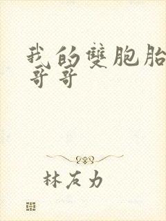 我的双胞胎骚货哥哥