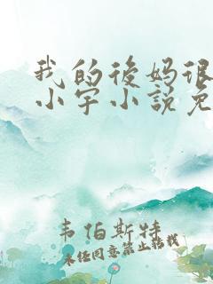 我的后妈很漂亮小宇小说免费阅读