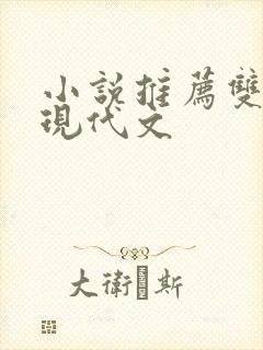 小说推荐双男主现代文