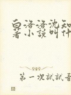 白洛洛沈知景原著小说叫什么