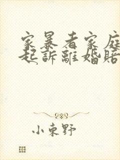 家暴者家庭暴力起诉离婚赔偿