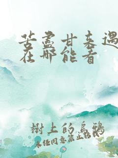 苦尽甘来遇见你在哪能看