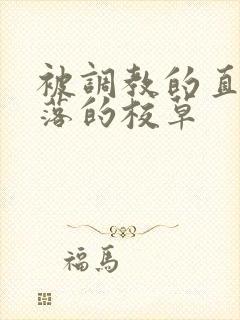 被调教的直男堕落的校草