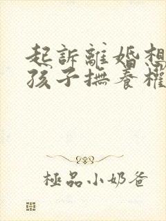 起诉离婚想争取孩子抚养权