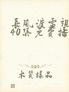 长风渡电视剧全40集免费播放