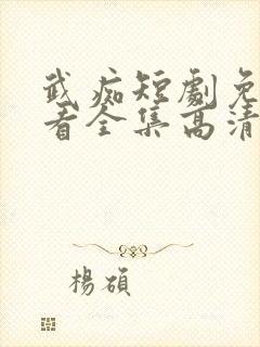 武痴短剧免费观看全集高清