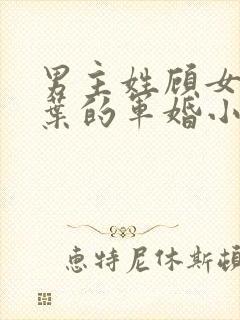 男主姓顾女主姓叶的军婚小说