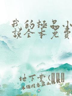 我的极品小姨小说全本免费下载