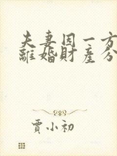 夫妻因一方出轨离婚财产分割