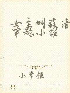 女主叫苏清雪的穿越小说