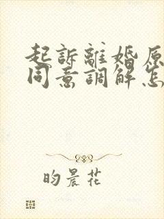 起诉离婚原告不同意调解怎么判