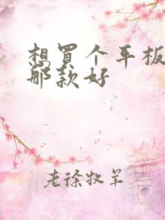 想买个平板画画那款好