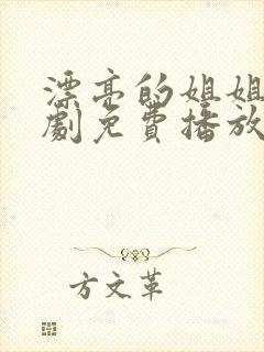 漂亮的姐姐电视剧免费播放