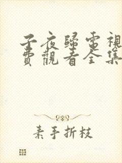 子夜归电视剧免费观看全集高清