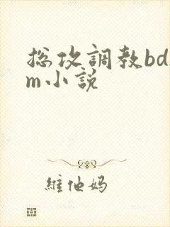 总攻调教bdsm小说