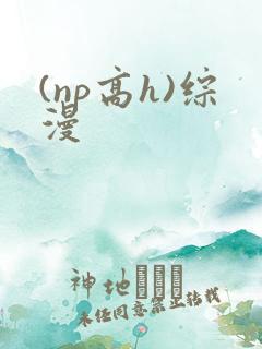 (np高h)综漫