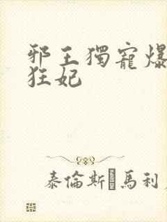 邪王独宠爆萌小狂妃