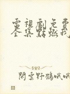 电视剧免费观看全集点燃我温暖你