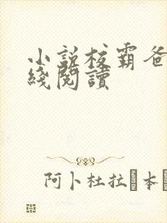 小说校霸爸爸在线阅读