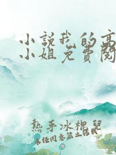 小说我的高冷大小姐免费阅读