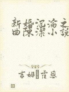 新婚沉沦之三部曲陈洁小说