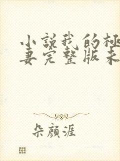 小说我的极品娇妻完整版未删减小说