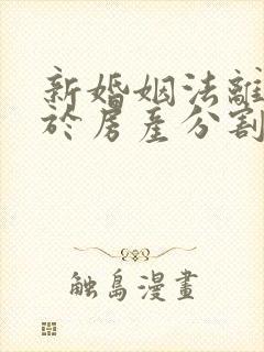 新婚姻法离婚关于房产分割问题