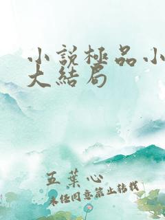 小说极品小侯爷大结局