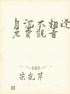 月沉不相逢短剧免费观看