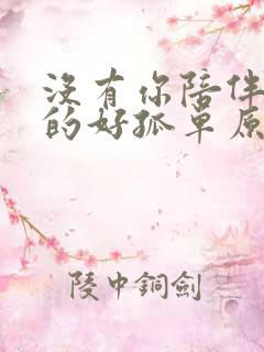 没有你陪伴我真的好孤单原唱冷漠