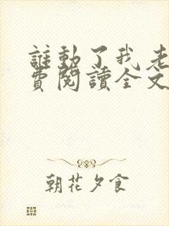 谁动了我老婆免费阅读全文