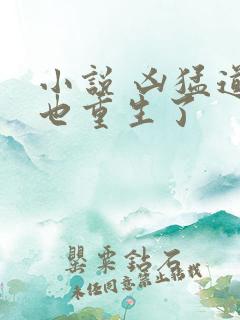 小说 凶猛道侣也重生了