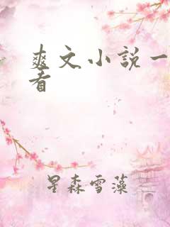 爽文小说一口气看