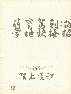 萌宝驾到:总裁爹地快接招小说