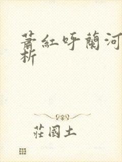 萧红呼兰河传分析