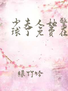 少夫人她惊艳全球了免费在线阅读