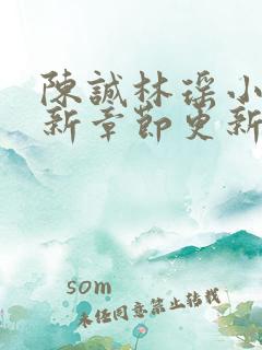 陈诚林瑶小说最新章节更新时间