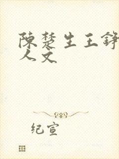 陈楚生王铮亮同人文