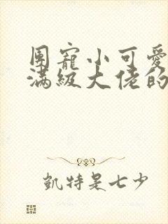 团宠小可爱成了满级大佬的小说