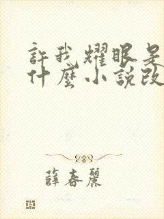 许我耀眼是根据什么小说改编