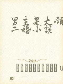 男主是大领导的二婚小说