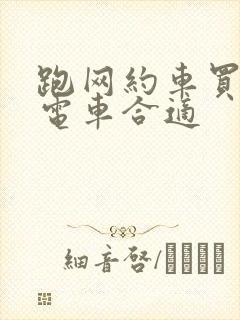 跑网约车买什么电车合适