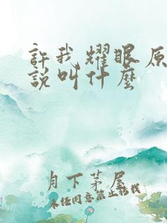 许我耀眼原著小说叫什么