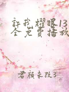 许我耀眼13集全免费播放