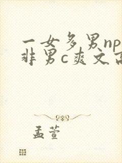 一女多男np女非男c爽文高h