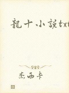 龙十小说txt