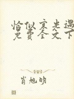 恰似寒光遇骄阳免费全文下载