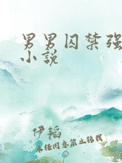 男男囚禁强制爱小说