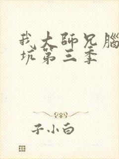 我大师兄脑子有坑第三季