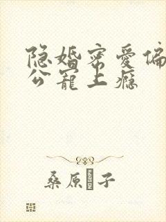 隐婚密爱偏执老公宠上瘾